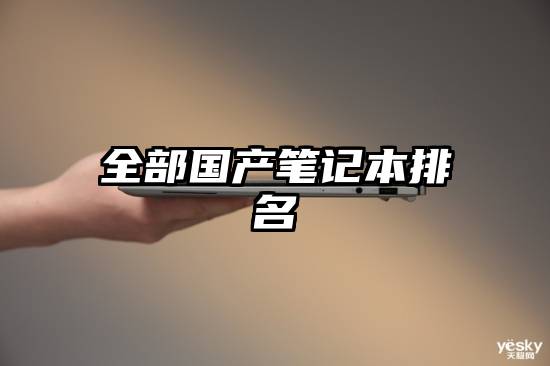 全部国产笔记本排名