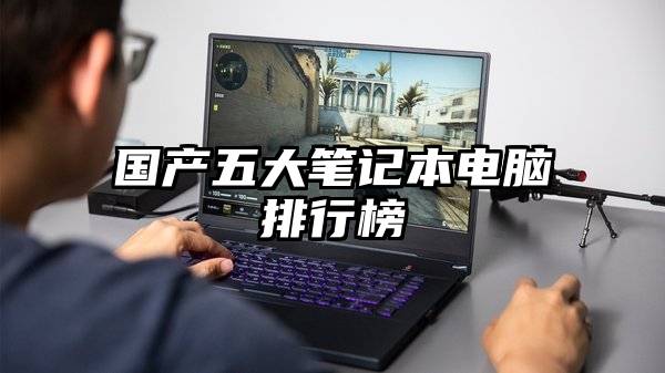 国产五大笔记本电脑排行榜