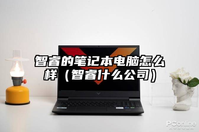智睿的笔记本电脑怎么样（智睿什么公司）