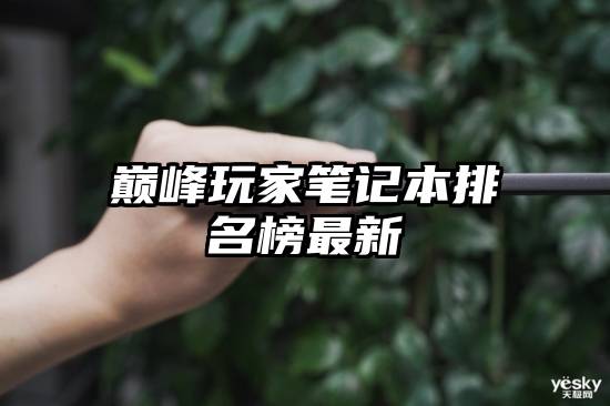 巅峰玩家笔记本排名榜最新