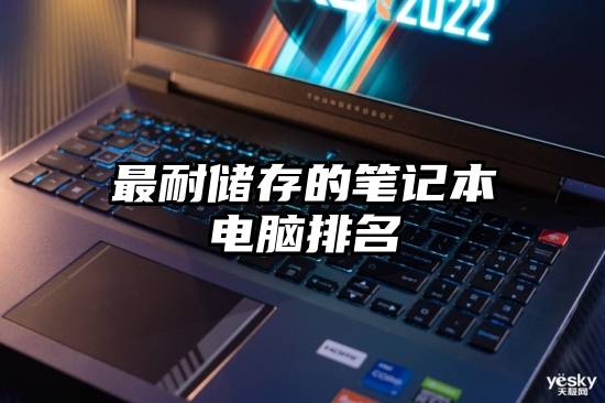 最耐储存的笔记本电脑排名