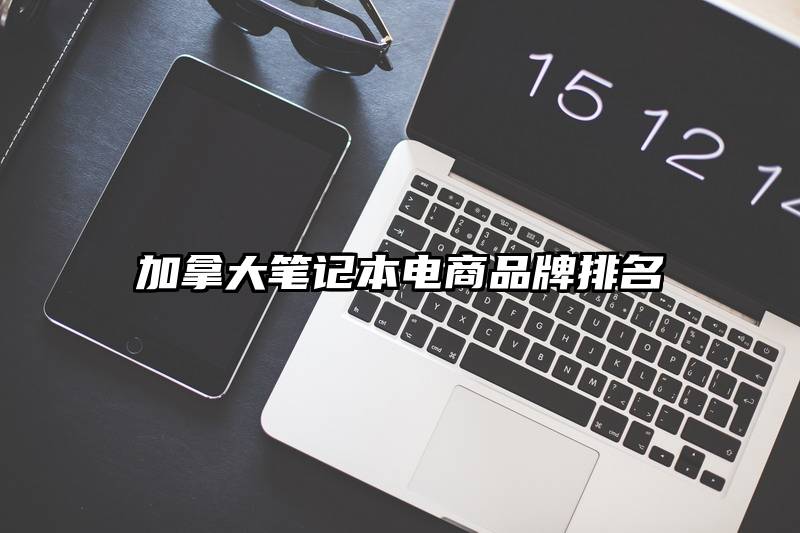 加拿大笔记本电商品牌排名