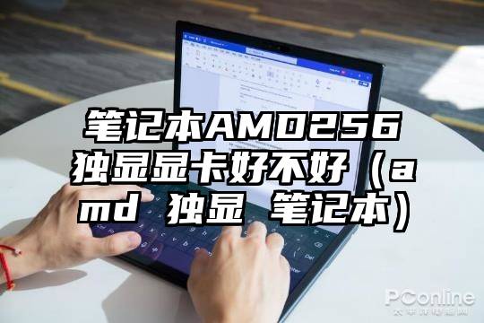 笔记本AMD256独显显卡好不好（amd 独显 笔记本）