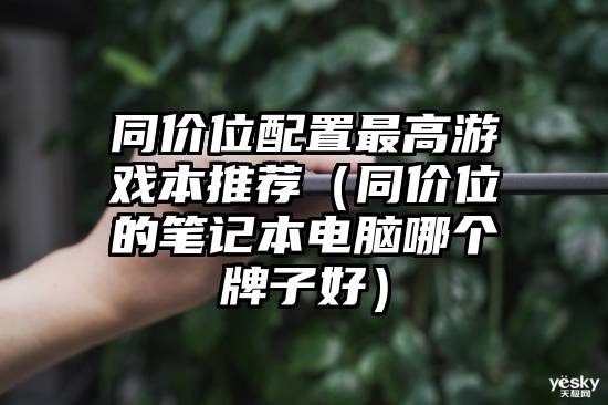 同价位配置最高游戏本推荐（同价位的笔记本电脑哪个牌子好）