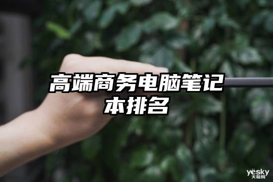 高端商务电脑笔记本排名