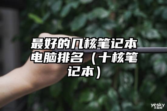 最好的几核笔记本电脑排名(十核笔记本)