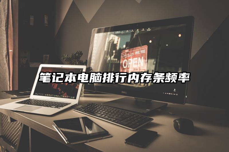 笔记本电脑排行内存条频率