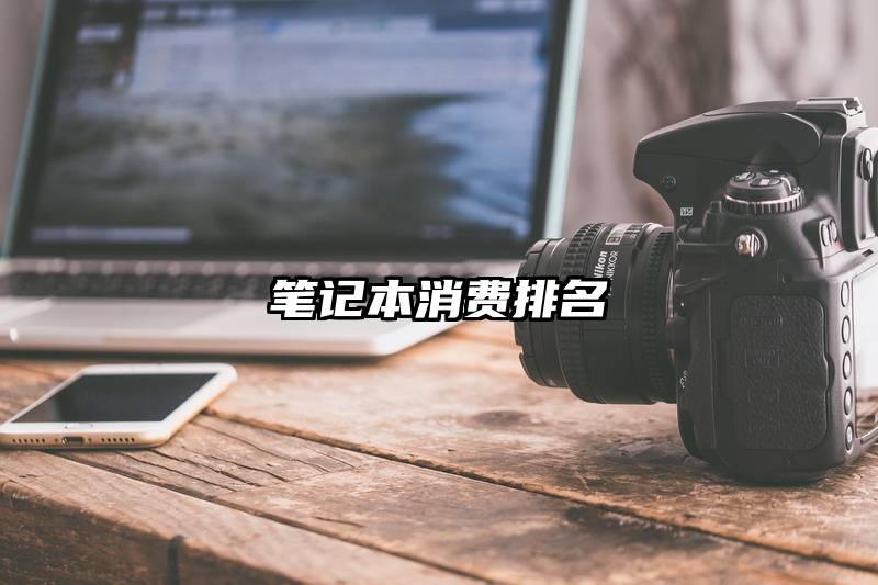 笔记本消费排名