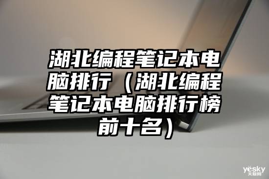 湖北编程笔记本电脑排行（湖北编程笔记本电脑排行榜前十名）