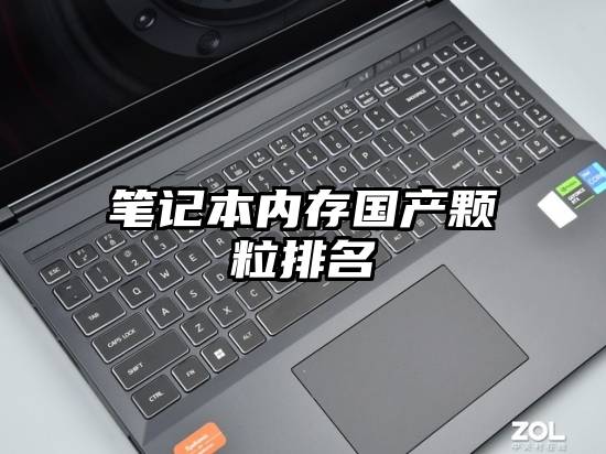 笔记本内存国产颗粒排名