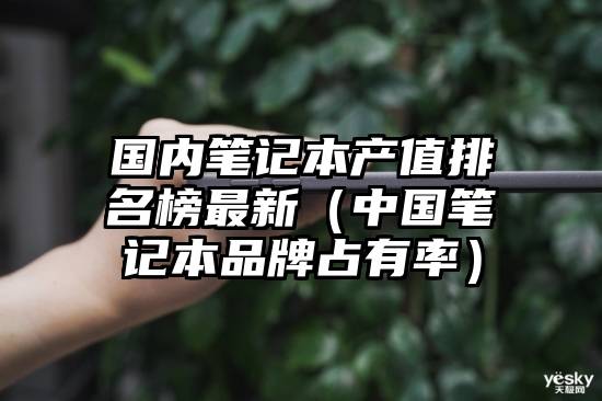 国内笔记本产值排名榜最新（中国笔记本品牌占有率）