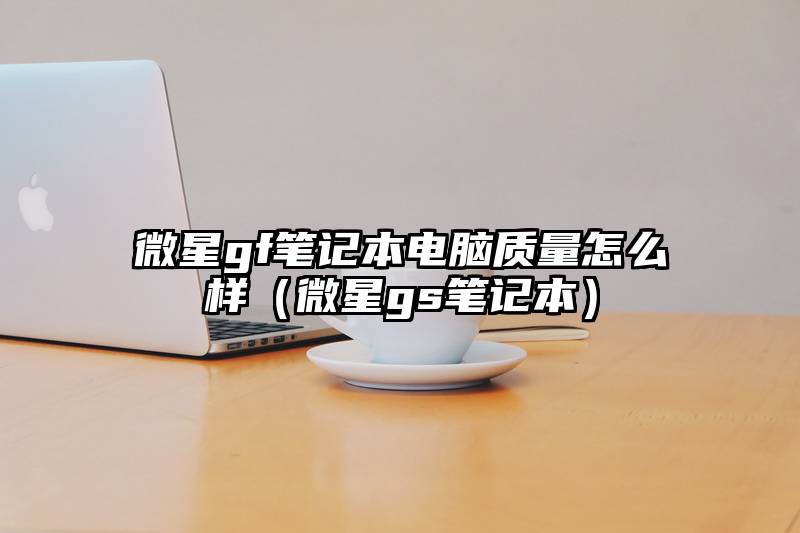 微星gf笔记本电脑质量怎么样（微星gs笔记本）