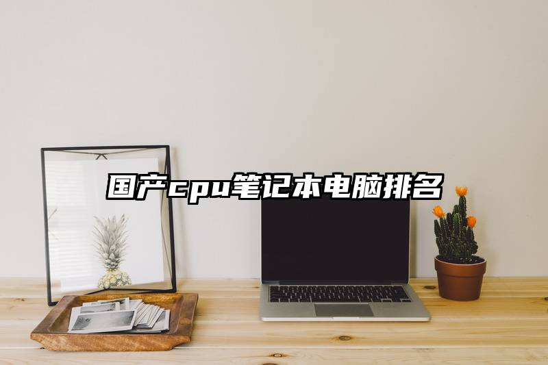 国产cpu笔记本电脑排名