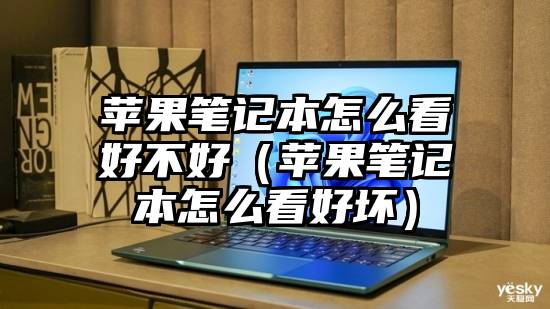 苹果笔记本怎么看好不好（苹果笔记本怎么看好坏）