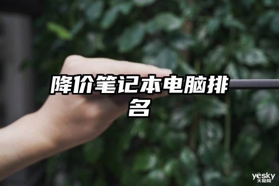 降价笔记本电脑排名