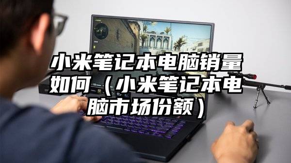 小米笔记本电脑销量如何（小米笔记本电脑市场份额）
