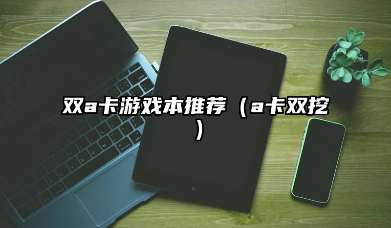 双a卡游戏本推荐（a卡双挖）