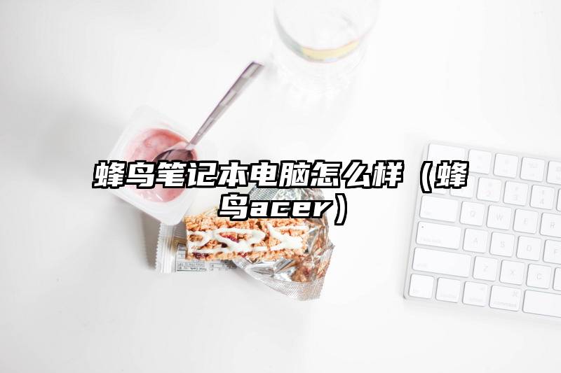 蜂鸟笔记本电脑怎么样（蜂鸟acer）