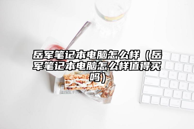 岳军笔记本电脑怎么样（岳军笔记本电脑怎么样值得买吗）