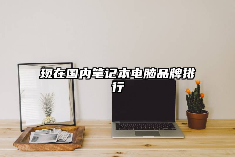 现在国内笔记本电脑品牌排行