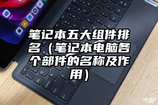 笔记本五大组件排名（笔记本电脑各个部件的名称及作用）