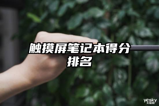 触摸屏笔记本得分排名