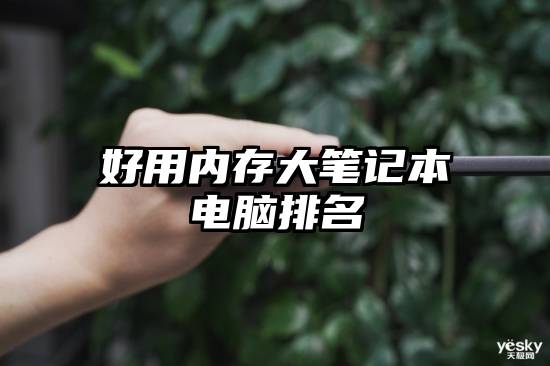 好用内存大笔记本电脑排名