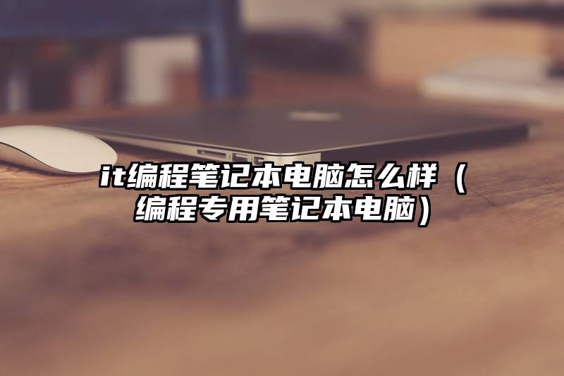 it编程笔记本电脑怎么样（编程专用笔记本电脑）