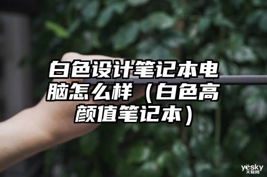 白色设计笔记本电脑怎么样（白色高颜值笔记本）