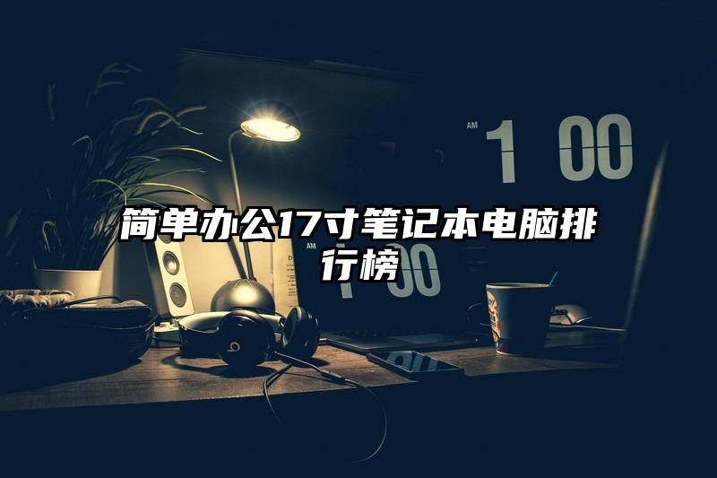 简单办公17寸笔记本电脑排行榜