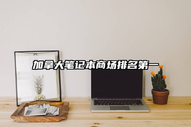 加拿大笔记本商场排名第一