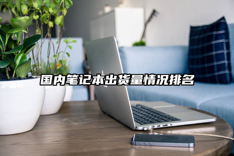 国内笔记本出货量情况排名