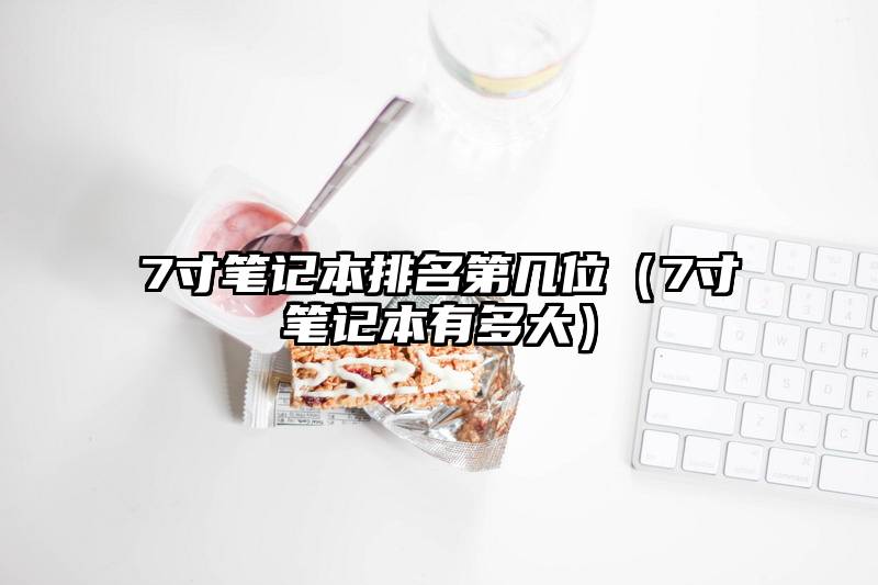 7寸笔记本排名第几位（7寸笔记本有多大）