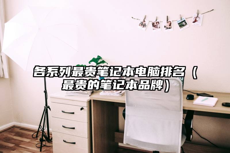 各系列最贵笔记本电脑排名(最贵的笔记本品牌)