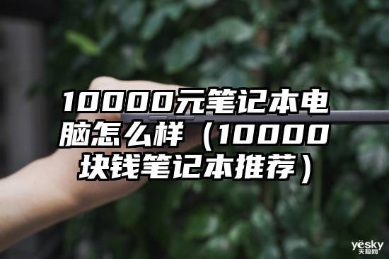 10000元笔记本电脑怎么样（10000块钱笔记本推荐）