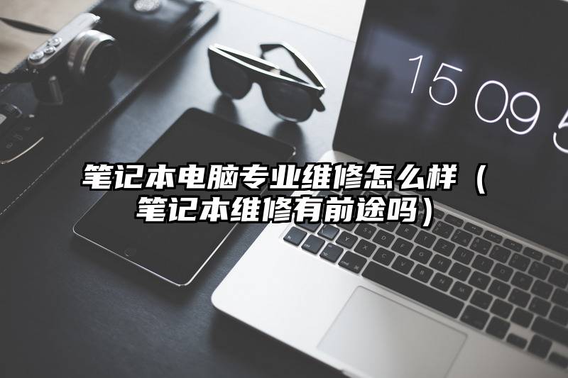笔记本电脑专业维修怎么样（笔记本维修有前途吗）