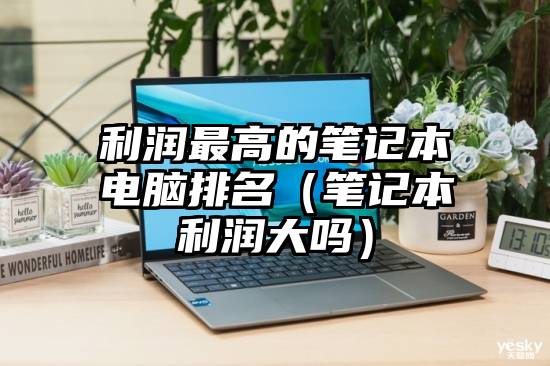 利润最高的笔记本电脑排名（笔记本利润大吗）