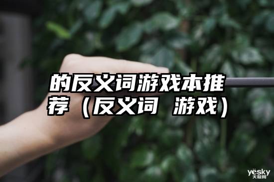 的反义词游戏本推荐（反义词 游戏）