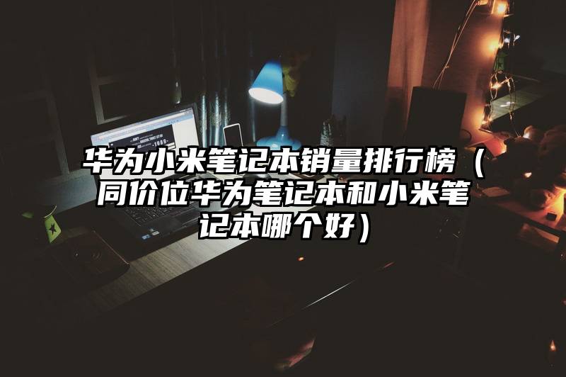 华为小米笔记本销量排行榜（同价位华为笔记本和小米笔记本哪个好）