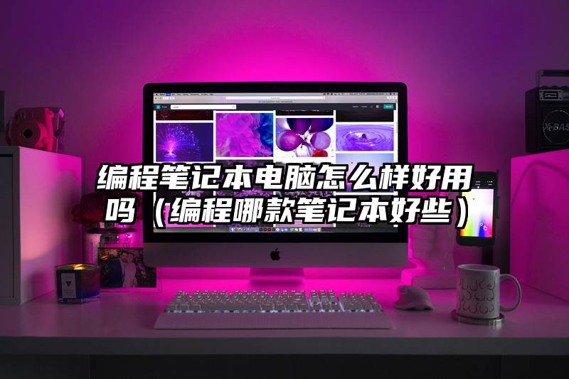 编程笔记本电脑怎么样好用吗（编程哪款笔记本好些）