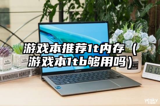 游戏本推荐1t内存（游戏本1tb够用吗）