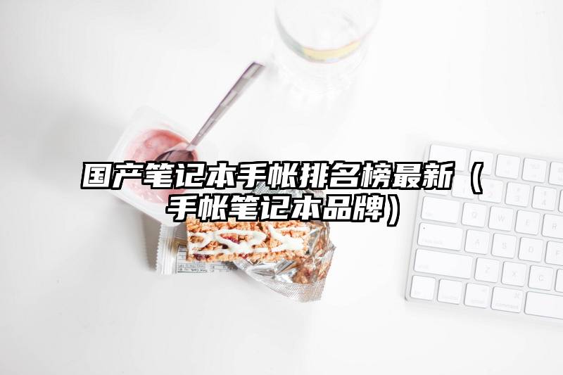 国产笔记本手帐排名榜最新(手帐笔记本品牌)