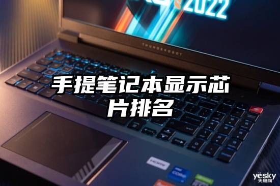 手提笔记本显示芯片排名