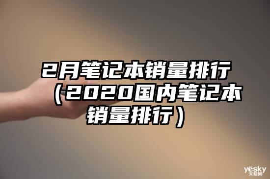 2月笔记本销量排行(2020国内笔记本销量排行)