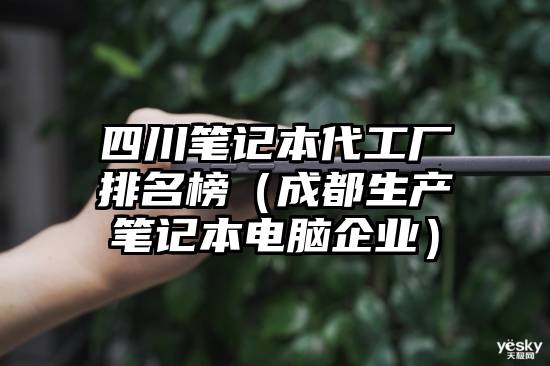 四川笔记本代工厂排名榜(成都生产笔记本电脑企业)