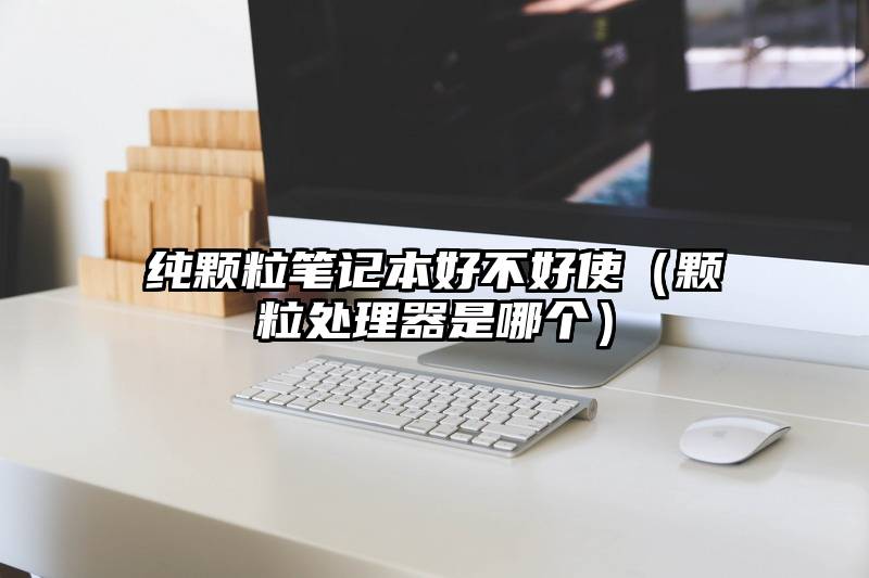 纯颗粒笔记本好不好使（颗粒处理器是哪个）