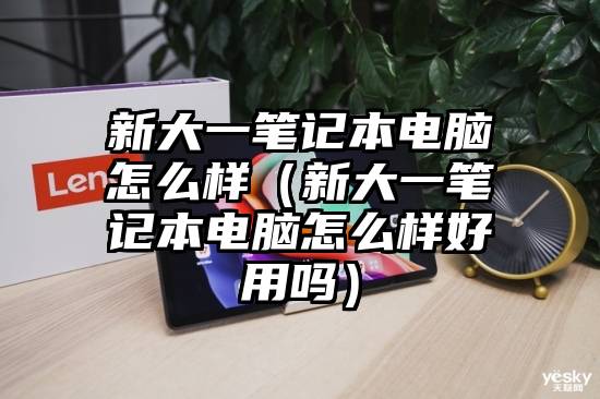 新大一笔记本电脑怎么样（新大一笔记本电脑怎么样好用吗）