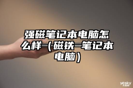 强磁笔记本电脑怎么样(磁铁 笔记本电脑)