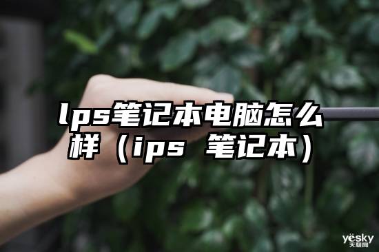 lps笔记本电脑怎么样(ips 笔记本)