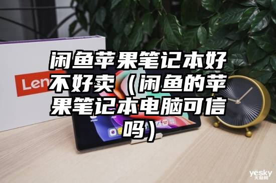 闲鱼苹果笔记本好不好卖（闲鱼的苹果笔记本电脑可信吗）